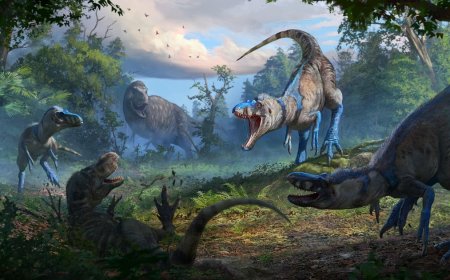 Scientists say they've solved debate about origins of mysterious dinosaur