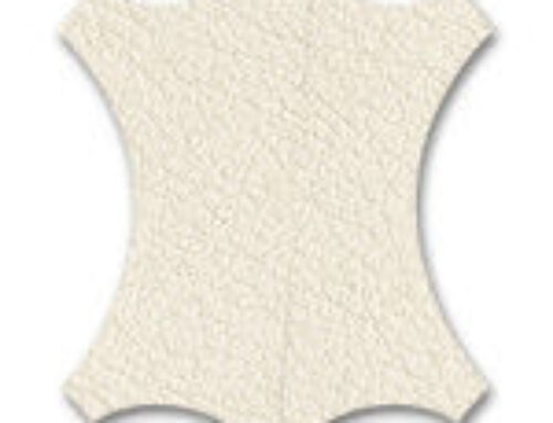 The importance of mental health in virtual education